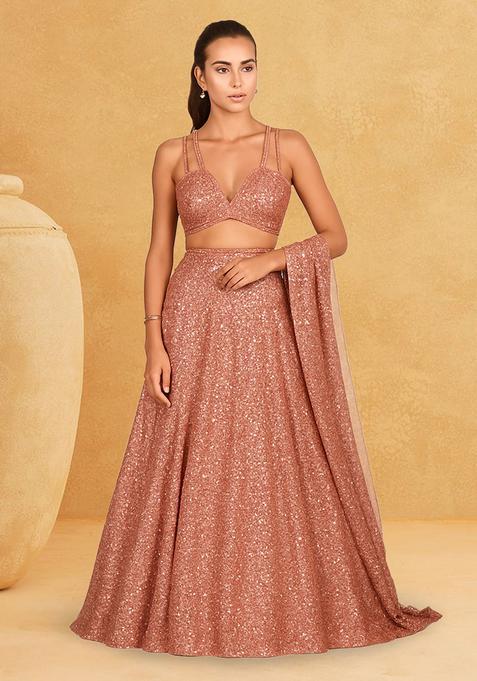 Silver Sequins Embroidery Net Lehenga Set