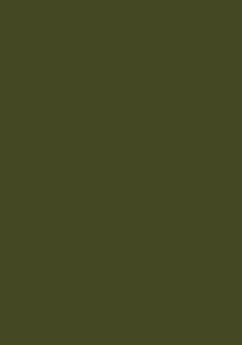 Olive Green Abstract Print Crepe Fusion Set - Indya