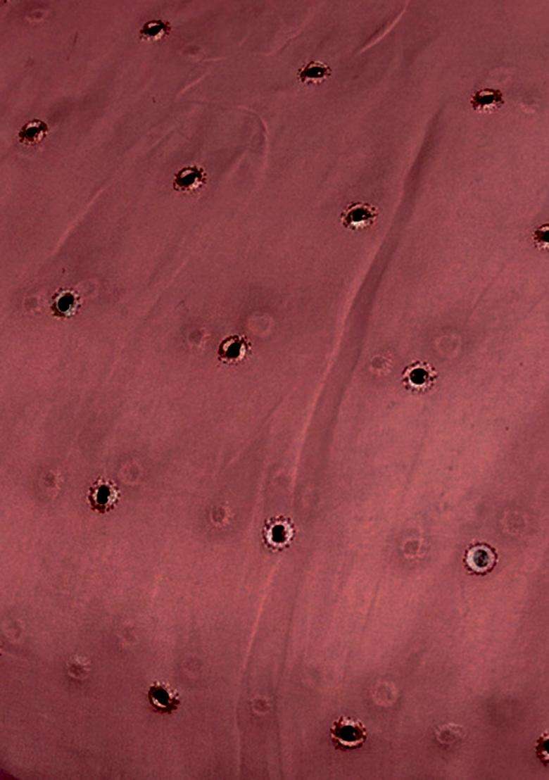 Dusty Pink Mirror Work Georgette Anarkali With Dupatta - Indya