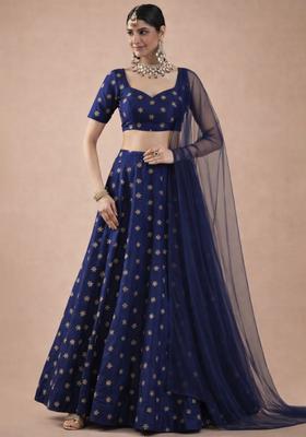 Navy Blue Embroidered Shimmer Lehenga Set