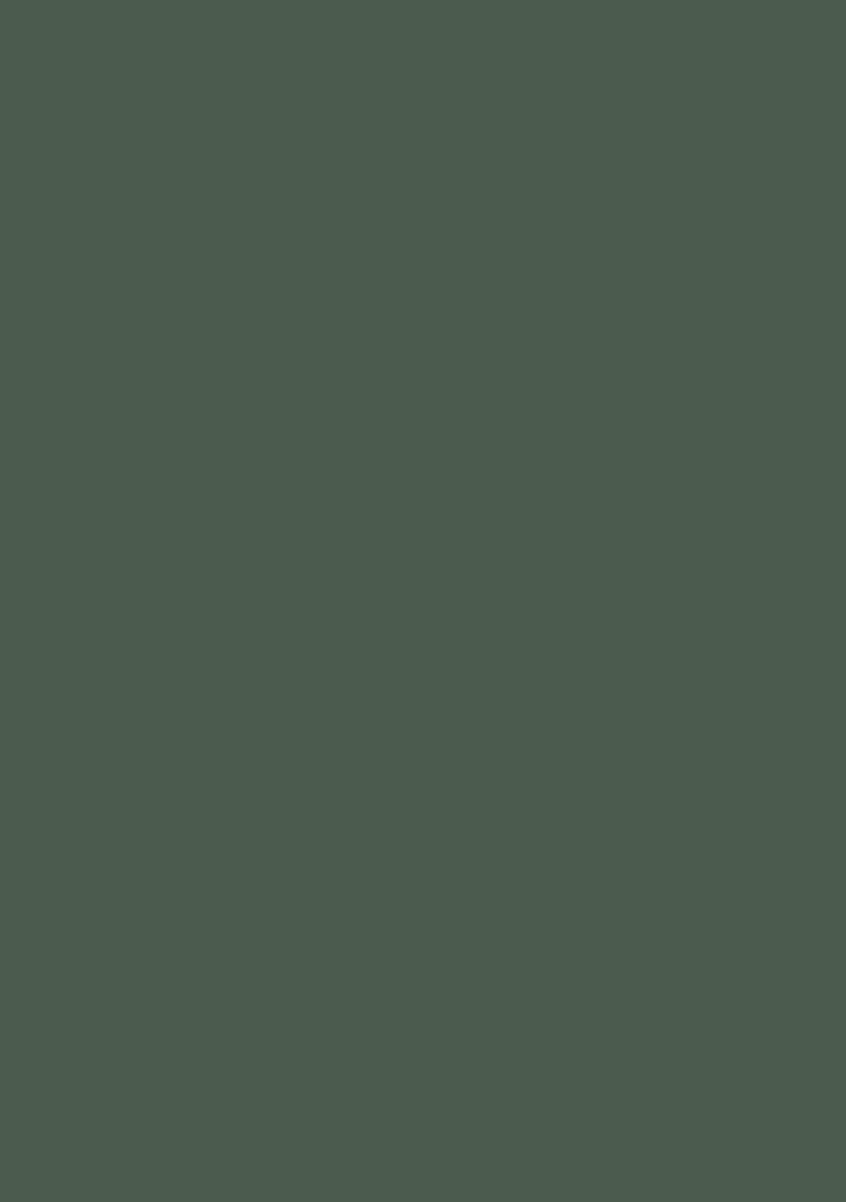 Green Sequin Shimmer Fusion Set - Indya