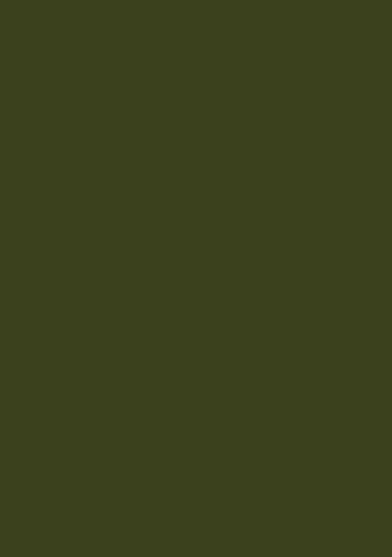 Olive Green Embroidered Georgette Fusion Set - Indya