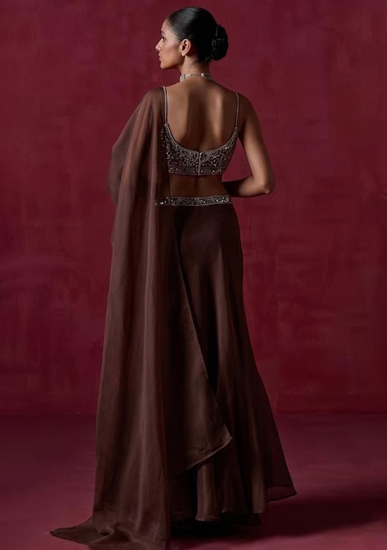 Chocolate Brown Organza Handwork Pre Draped Saree Set - Indya