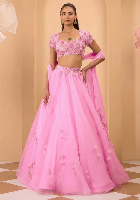 Pink Organza Handwork Lehenga Set