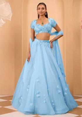 Blue Organza Handwork Lehenga Set