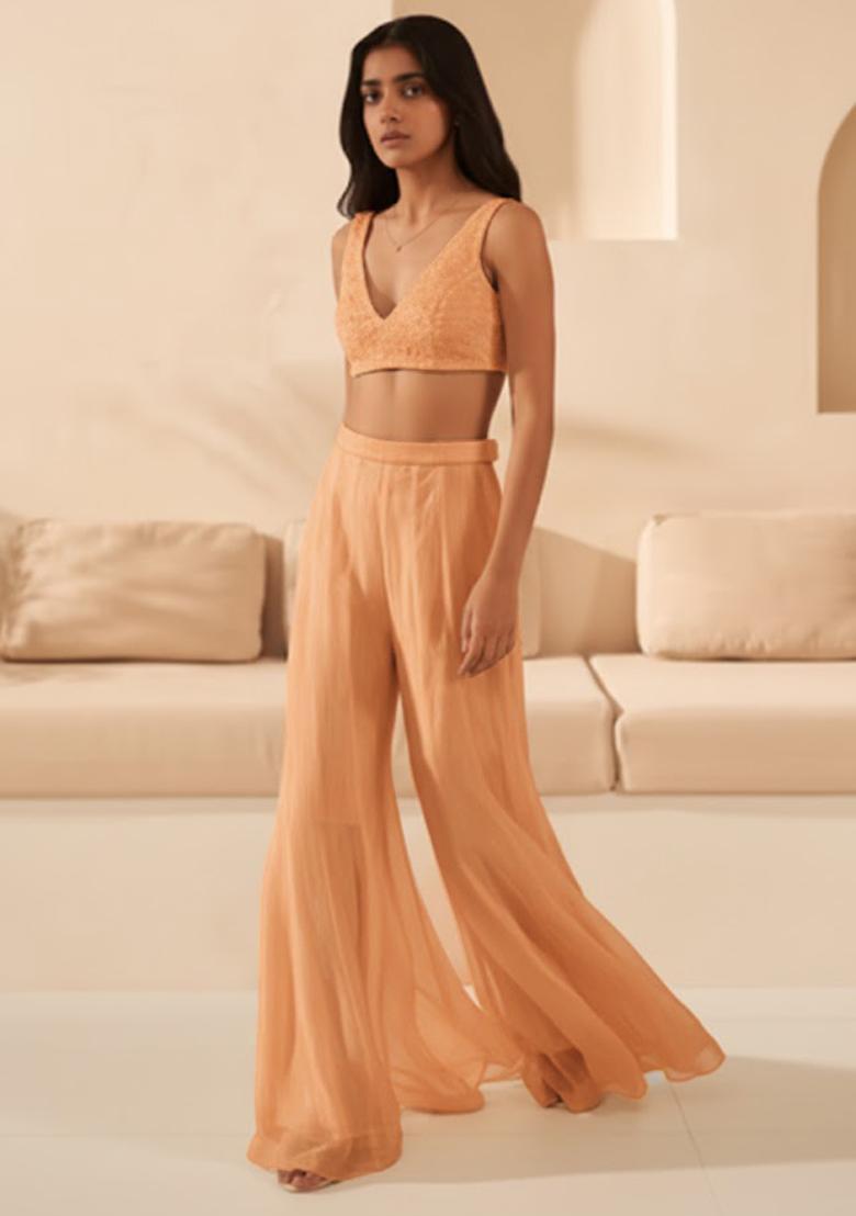 Pastel Peach Handwork Organza Fusion Set - Indya