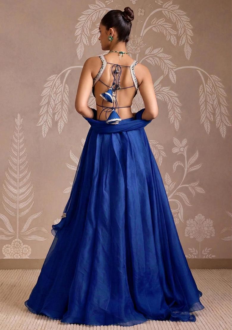 Royal Blue Handwork Organza Lehenga Set - Indya