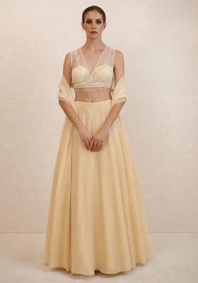 Beige Hand Work Net Lehenga Set