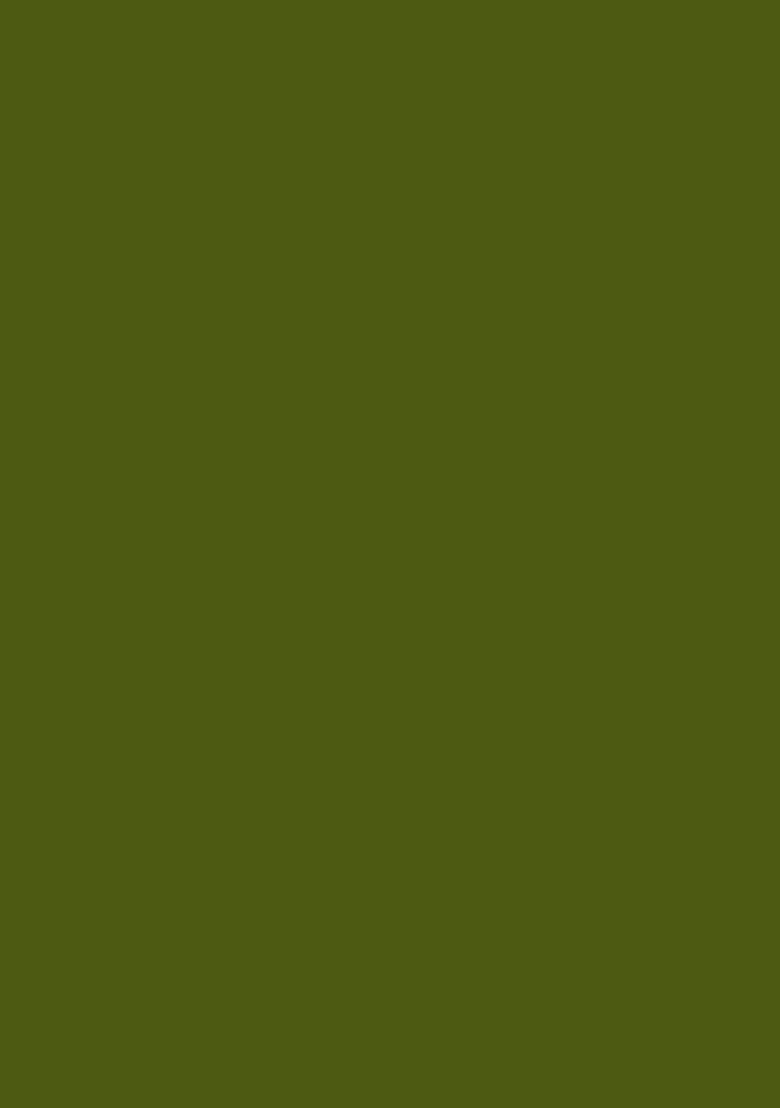 Olive Green Hand Work Crepe Pre Draped Saree Set - Indya