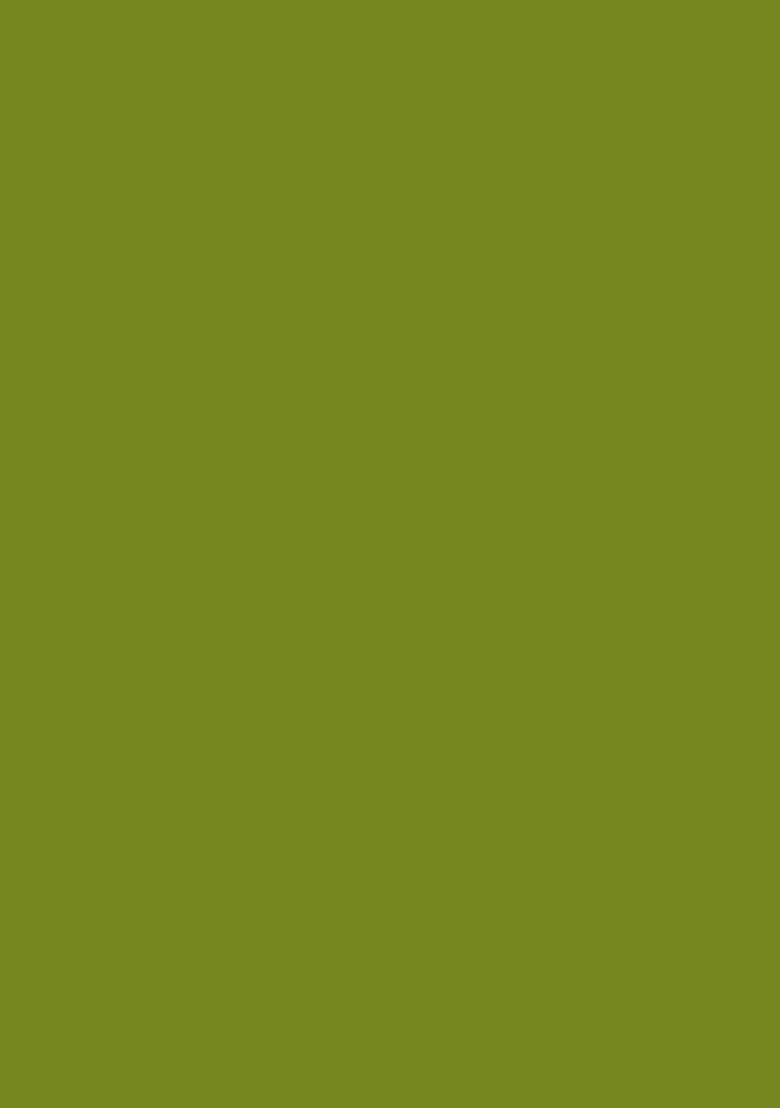 Olive Green Hand Work Embellished Crepe Fusion Set - Indya