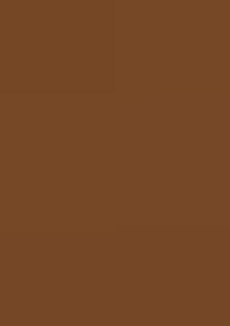 Brown Hand Work Embellished Georgette Pre Draped Saree Set - Indya