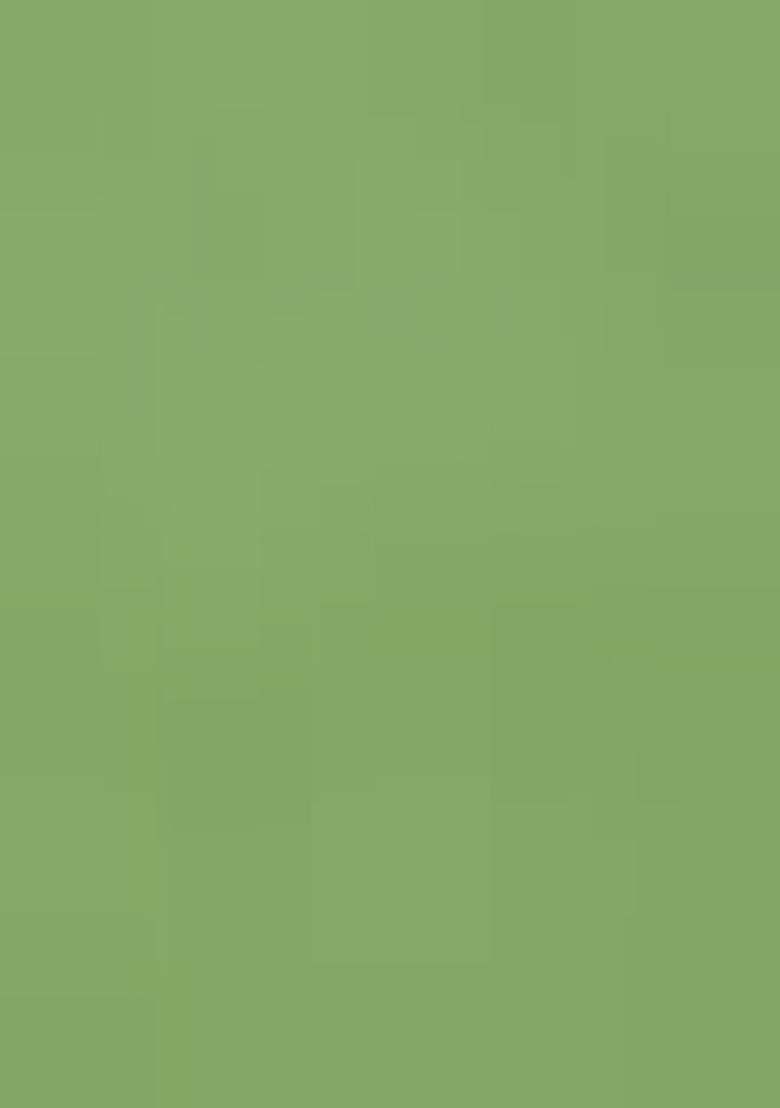 Light Green Hand Work Sequin Fusion Set - Indya