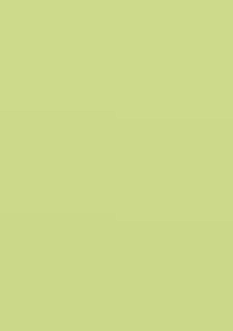 Lime Green Georgette Handwork Pre Draped Saree Set - Indya
