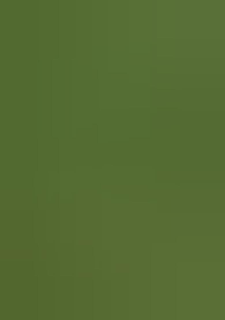 Sage Green Georgette Handwork Pre Draped Saree Set - Indya
