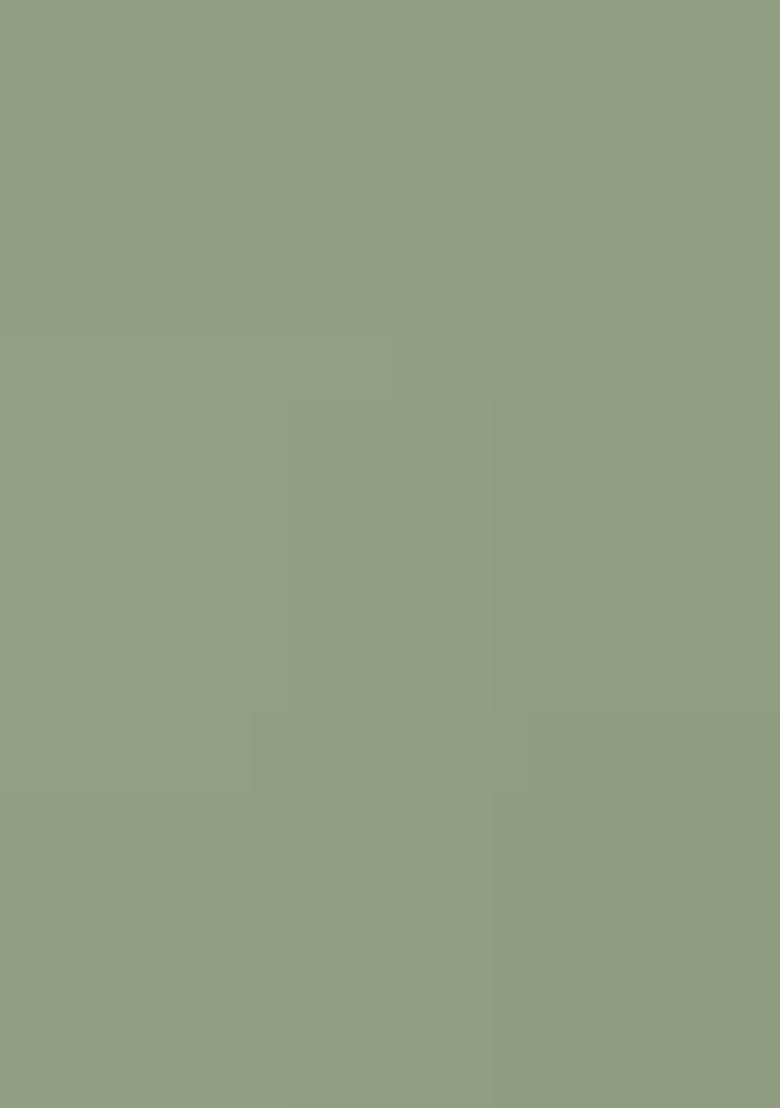 Sage Green Georgette Handwork Pre Draped Saree Set - Indya