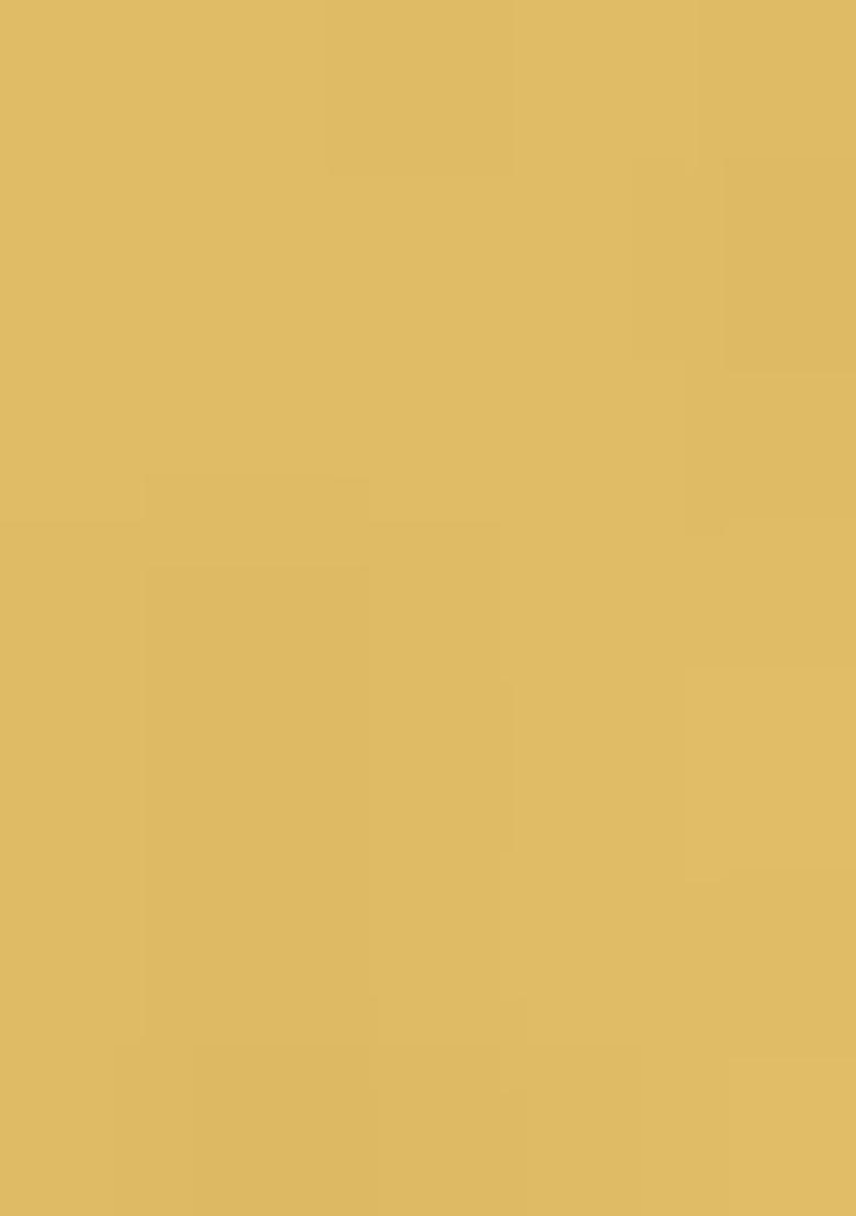 Beige Georgette Handwork Pre Draped Saree Set - Indya