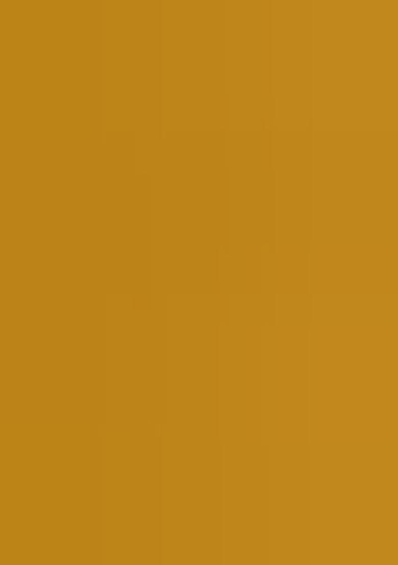 Mustard Organza Handwork Pre Draped Saree Set - Indya
