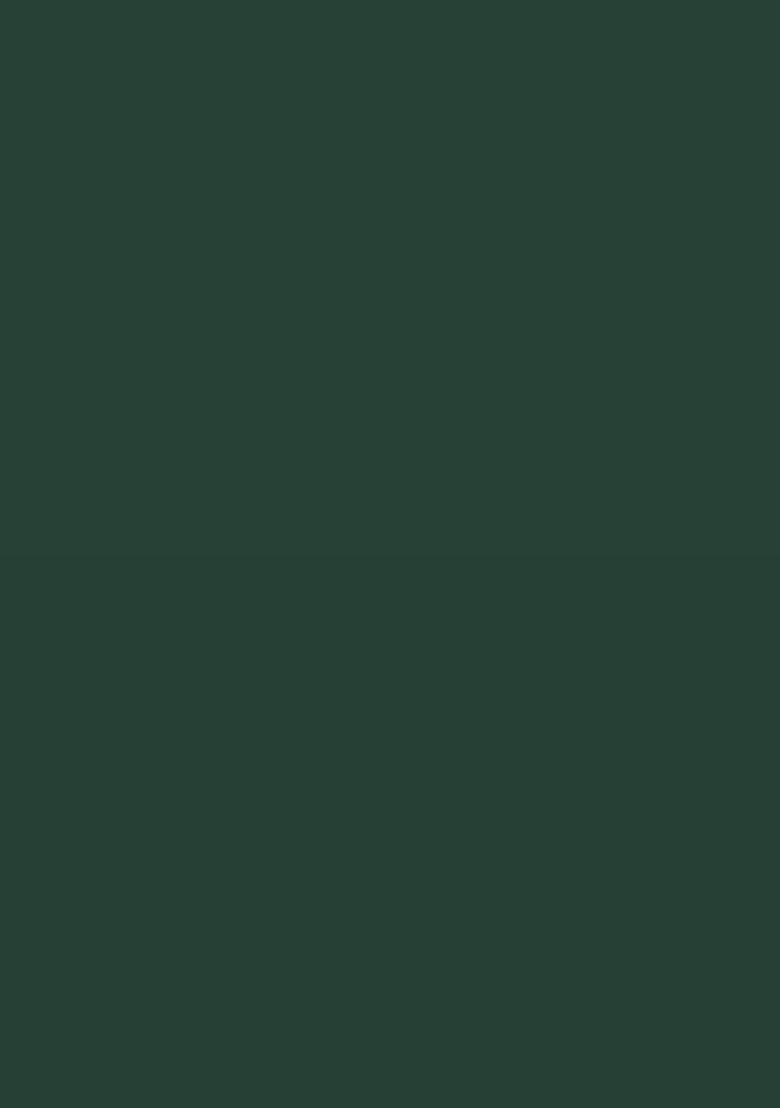 Dark Green Crepe Embellished Handwork Fusion Set - Indya