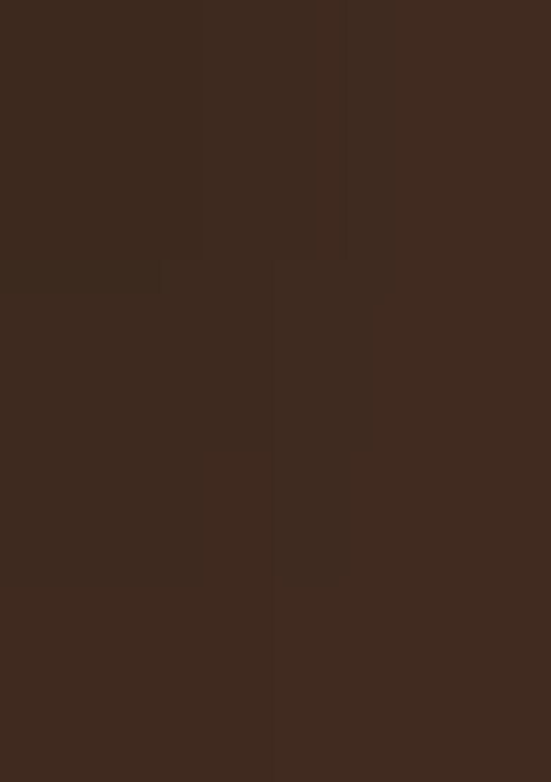 Brown Georgette Embellished Handwork Fusion Set - Indya
