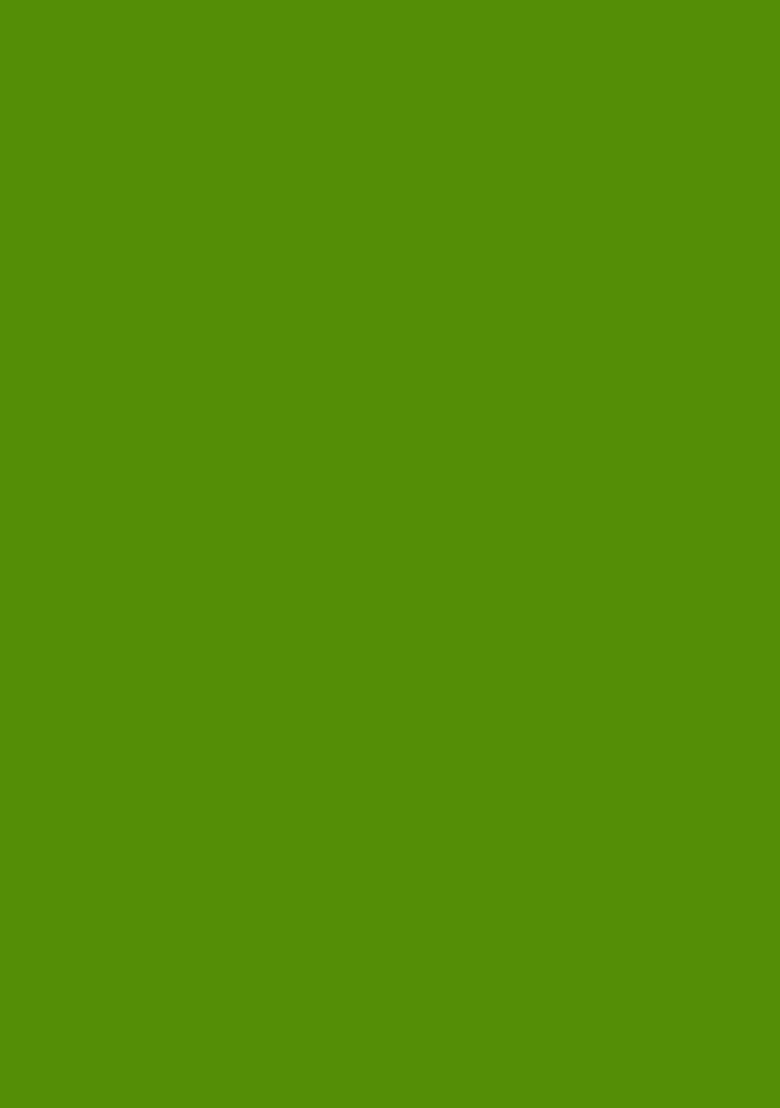 Green Silk Blend Kurta Set - Indya