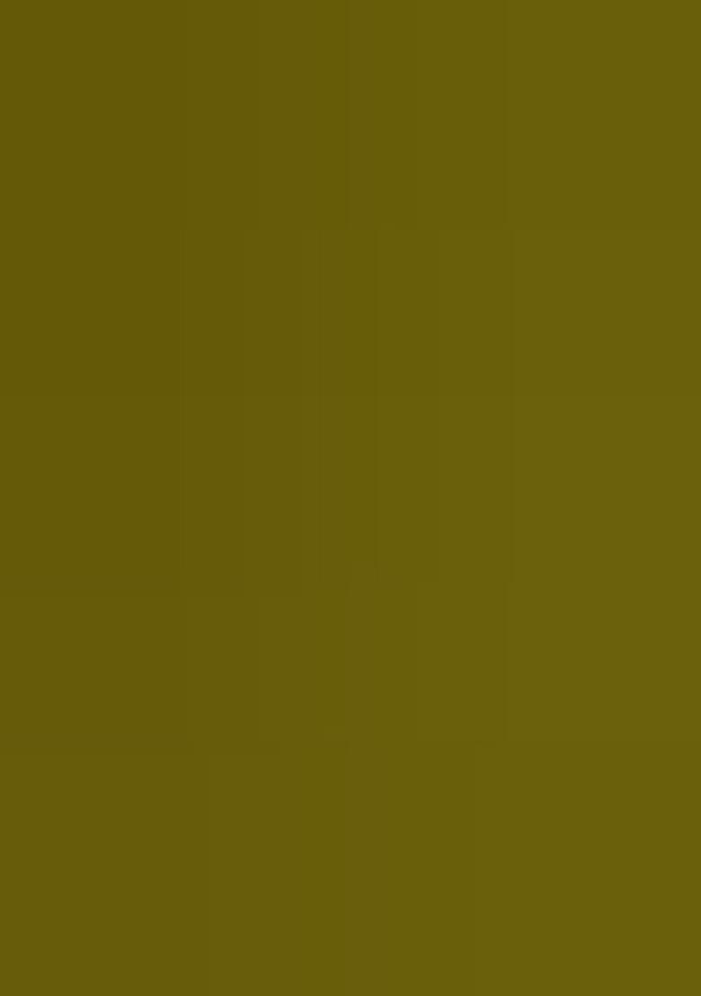 Olive Green Embroidered Organza Pre Draped Saree Set - Indya