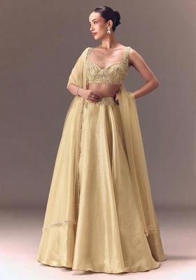 Champagne Gold Embroidered Handwork Lehenga Set