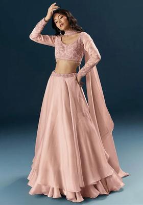 Blush Pink Embroidered Handwork Lehenga Set