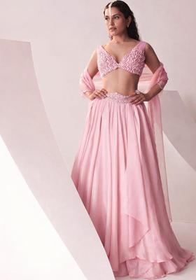Blush Pink Embroidered Handwork Lehenga Set
