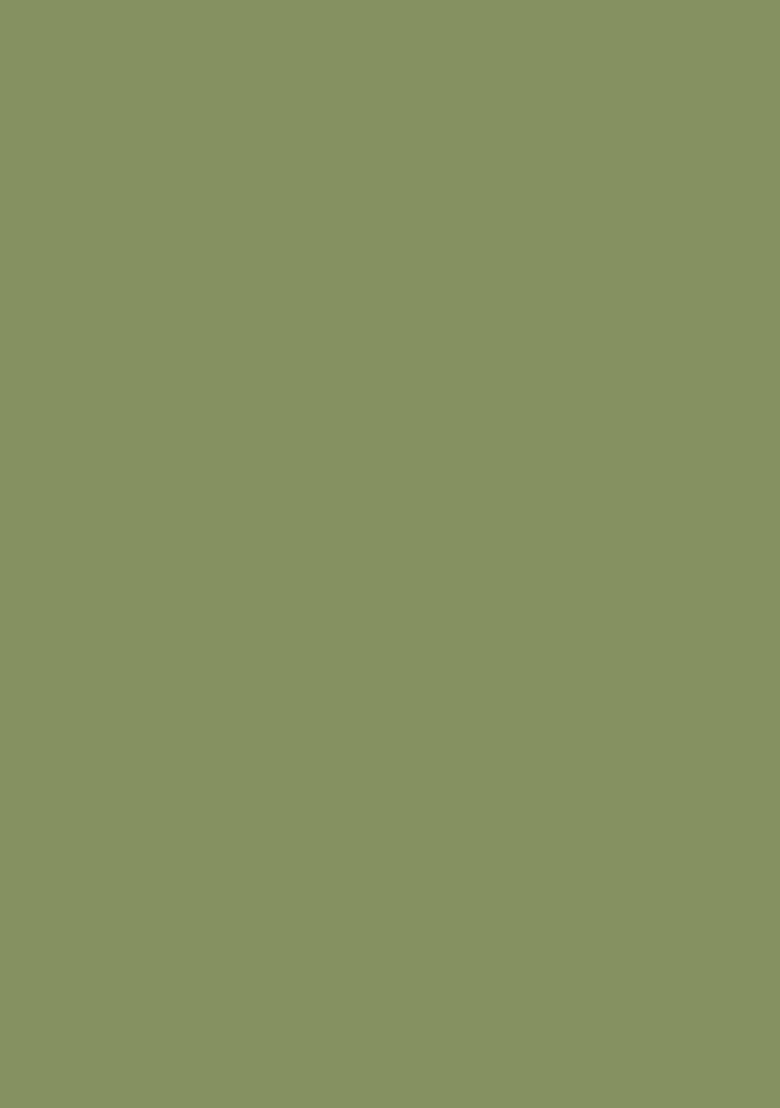 Pastel Green Embroidered Handwork Fusion Set - Indya