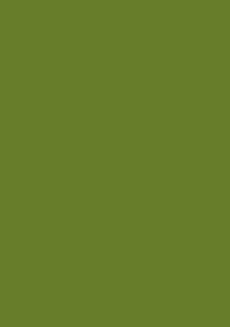Green Embroidered Crepe Fusion Set - Indya
