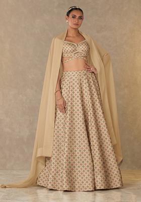 Champagne Beige Zari Silk Blend Lehenga Set