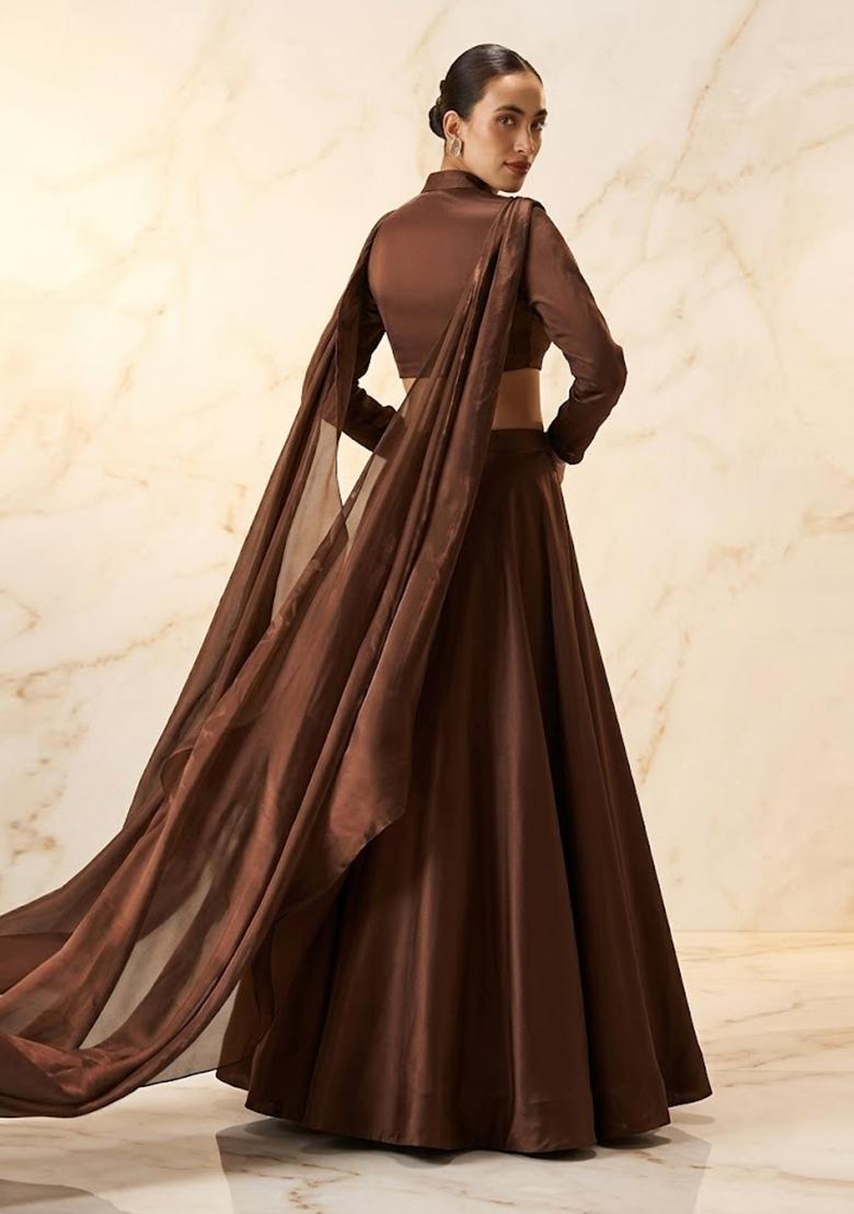 Dark Brown Embroidered Handwork Lehenga Set - Indya