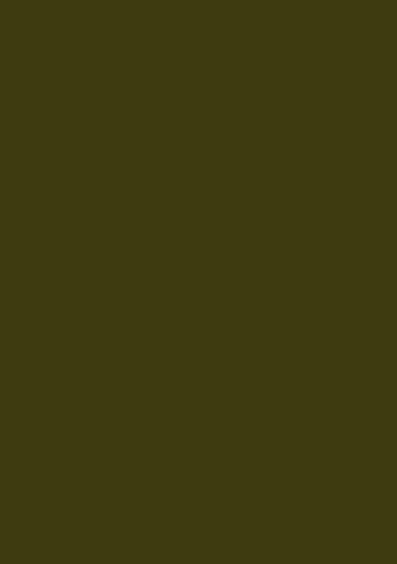 Olive Green Embroidered Crepe Fusion Set - Indya