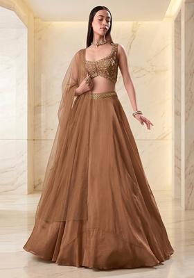 Camel Brown Embroidered Handwork Lehenga Set