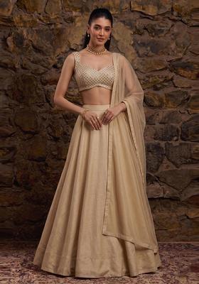 Beige Mirror Work Lehenga Set