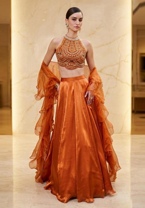 Burnt Orange Handwork Lehenga Set