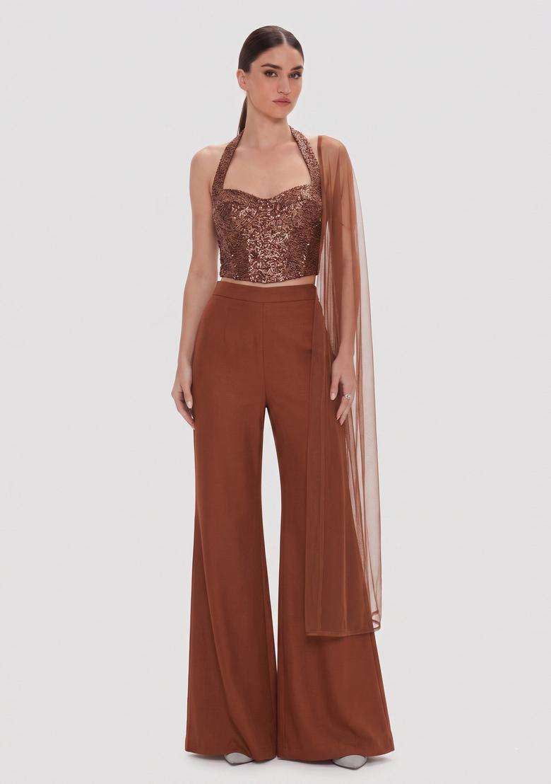 Brown Sequin Georgette Fusion Set - Indya