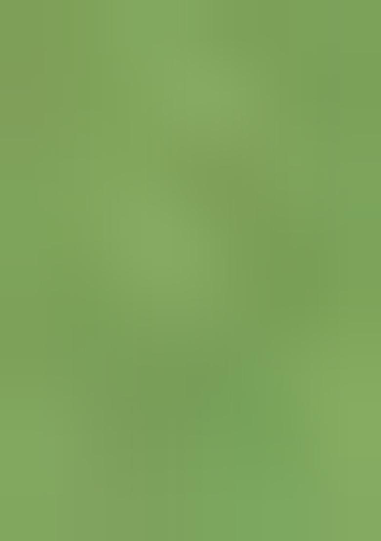 Light Green Jacquard  Co-Ord Set - Indya