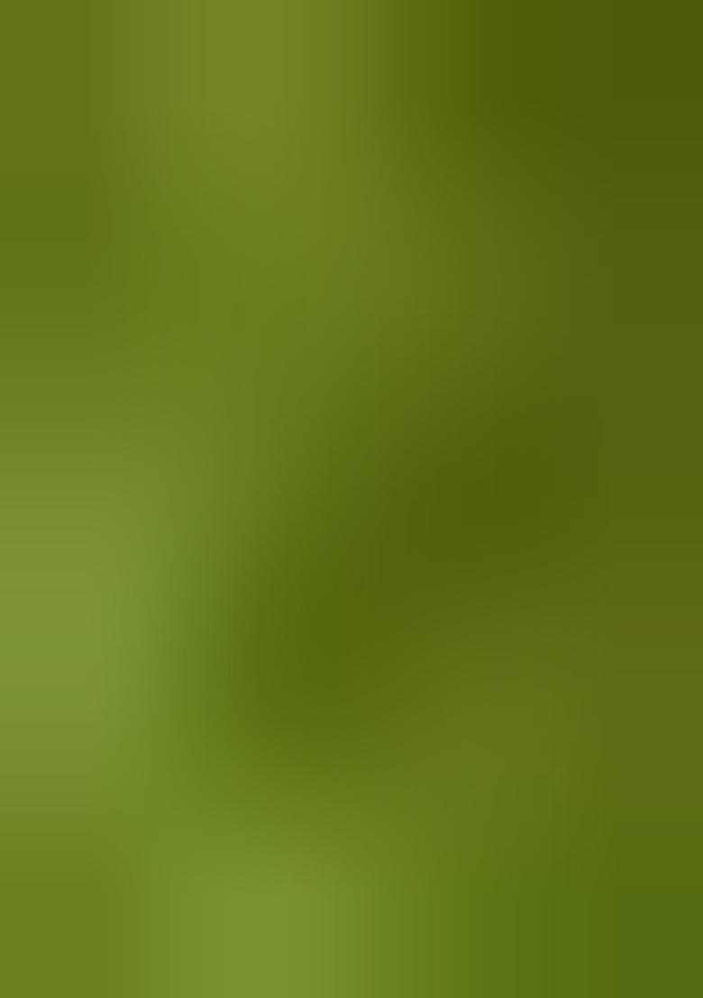 Light Green Brocade Skirt Set