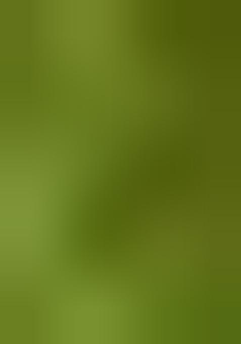 Light Green Brocade Skirt Set