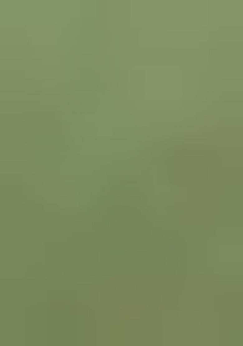 Green Printed Cotton Linen Crop Top And Skirt Set