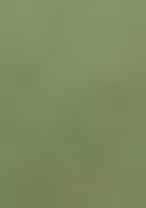 Green Printed Cotton Linen Crop Top And Skirt Set