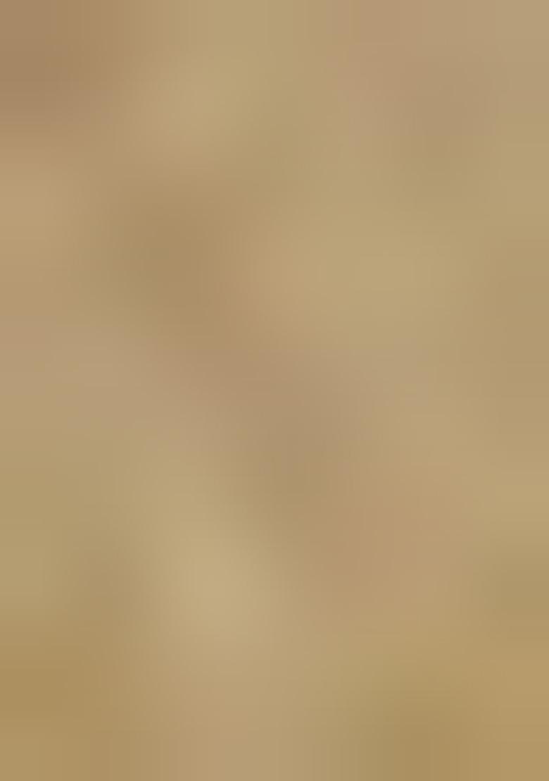 Beige Chikankari Linen Skirt Set