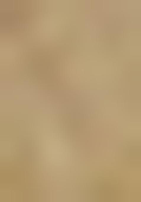 Beige Chikankari Linen Skirt Set