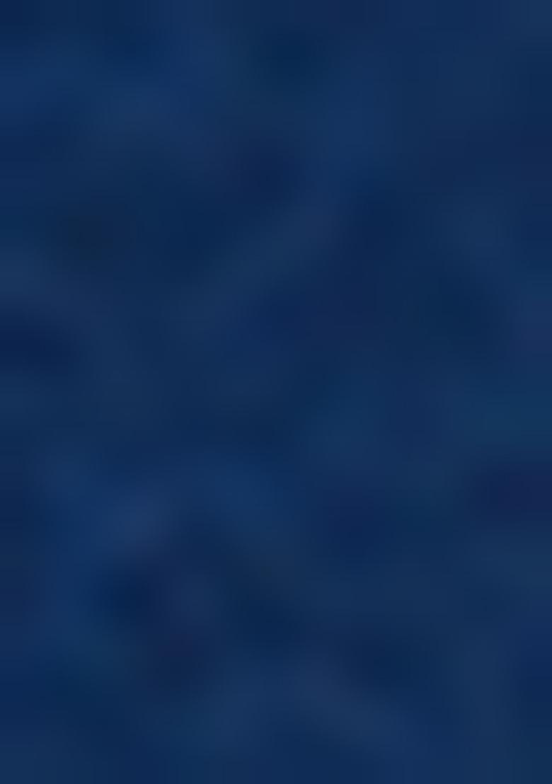 Blue Printed Linen Co-Ord Set