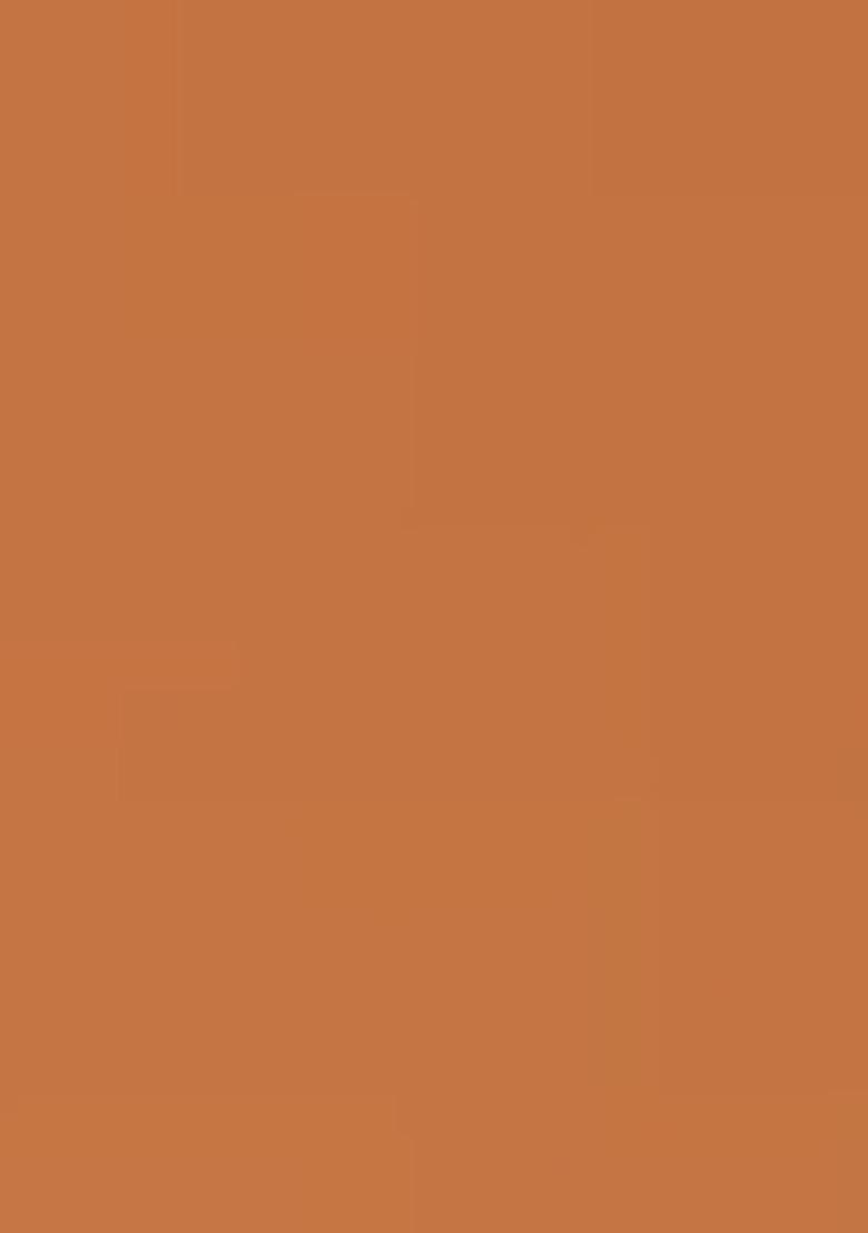 Peach Brocade Skirt Set