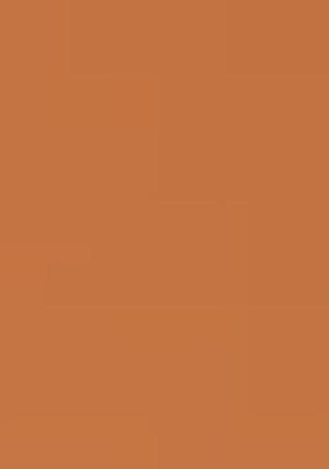 Peach Brocade Skirt Set