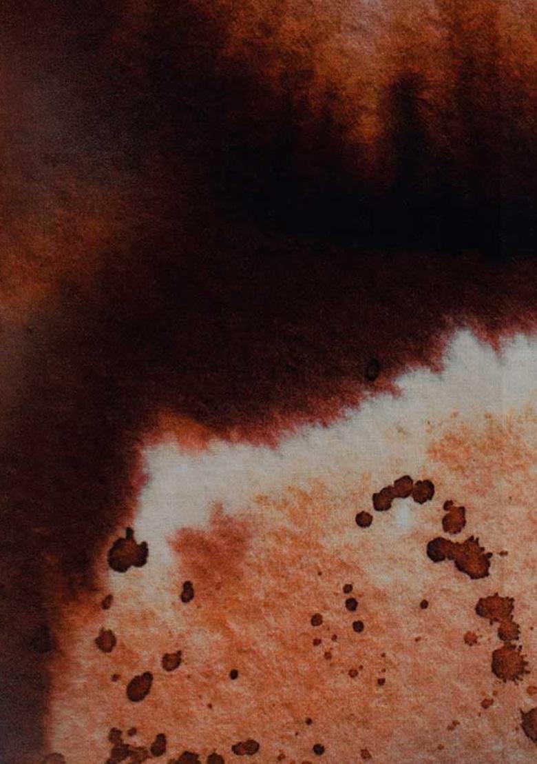 Multicolor Poplin Abstract Printed Co-Ord Set - Indya