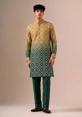 Green Printed Silk Blend Kurta Set