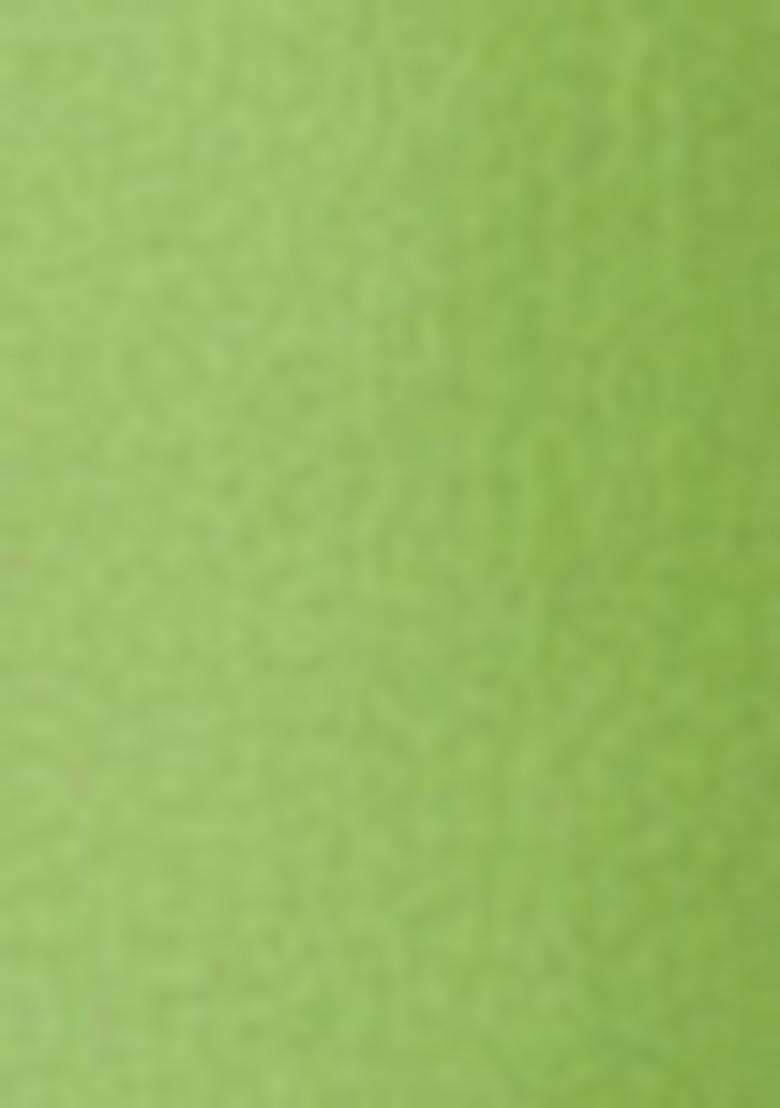 Parrot Green Embroidered Work Georgette Sharara Set - Indya